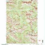 United States Geological Survey Mcalester Mountain, WA (2002, 24000-Scale) digital map