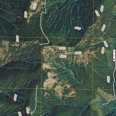United States Geological Survey Mccoy Peak, WA (2011, 24000-Scale) digital map