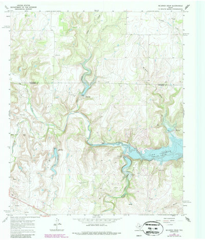 United States Geological Survey Mcewen Draw, TX (1967, 24000-Scale) digital map