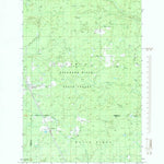 United States Geological Survey Mcfarland, MI (1985, 24000-Scale) digital map