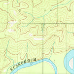 United States Geological Survey Mcgrath C-6, AK (1954, 63360-Scale) digital map