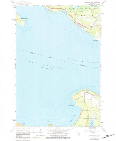 United States Geological Survey Mcgulpin Point, MI (1964, 24000-Scale) digital map