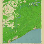 United States Geological Survey Mcintyre, FL (1945, 24000-Scale) digital map