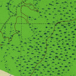 United States Geological Survey Mcintyre, FL (1945, 24000-Scale) digital map