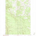 United States Geological Survey Mckeever, MI (1982, 25000-Scale) digital map
