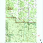 United States Geological Survey Mckeever, MI (1999, 24000-Scale) digital map