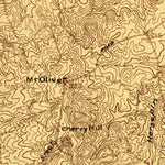 United States Geological Survey Mckenney, VA (1919, 48000-Scale) digital map