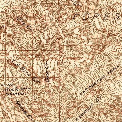 United States Geological Survey Mckenzie Bridge, OR (1934, 96000-Scale) digital map