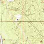 United States Geological Survey Mclain, MS (1982, 24000-Scale) digital map