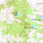 United States Geological Survey Mecosta, MI (1979, 24000-Scale) digital map