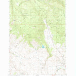 United States Geological Survey Medical Springs, OR (1993, 24000-Scale) digital map