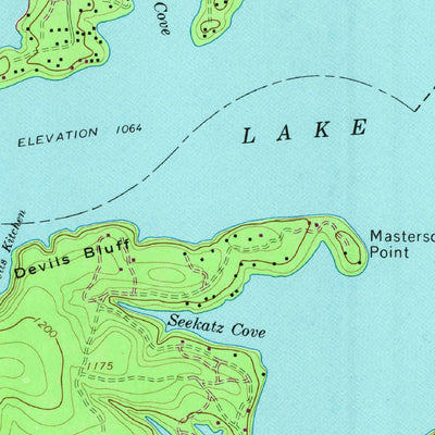 United States Geological Survey Medina Lake, TX (1964, 24000-Scale) digital map