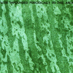 United States Geological Survey Melaleuca Head, FL (1973, 24000-Scale) digital map