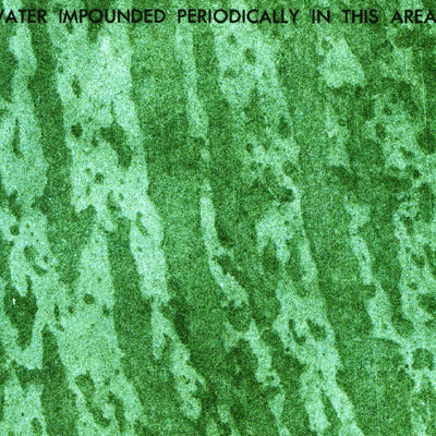 United States Geological Survey Melaleuca Head, FL (1973, 24000-Scale) digital map