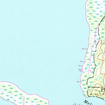 United States Geological Survey Melrose, FL (1966, 24000-Scale) digital map