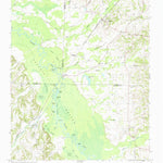 United States Geological Survey Mercer, TN (1961, 24000-Scale) digital map