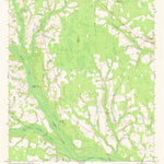 United States Geological Survey Mershon, GA (1971, 24000-Scale) digital map