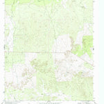 United States Geological Survey Mertzon SW, TX (1972, 24000-Scale) digital map