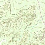 United States Geological Survey Mertzon SW, TX (1972, 24000-Scale) digital map