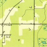 United States Geological Survey Merwin Lake, MI (1931, 31680-Scale) digital map