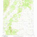 United States Geological Survey Mesa Aparejo, NM (1956, 62500-Scale) digital map