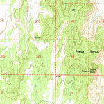 United States Geological Survey Mesa Aparejo, NM (1956, 62500-Scale) digital map