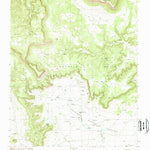 United States Geological Survey Mesa Cencerro, NM (1989, 24000-Scale) digital map
