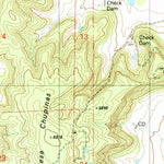 United States Geological Survey Mesa Chupinas, NM (1989, 24000-Scale) digital map