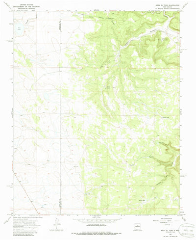 United States Geological Survey Mesa El Toro, NM (1966, 24000-Scale) digital map