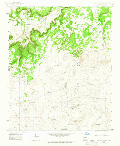 United States Geological Survey Mesa Palo Amarillo, NM (1963, 24000-Scale) digital map