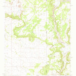 United States Geological Survey Mesa Parada, AZ-NM (1971, 24000-Scale) digital map
