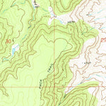 United States Geological Survey Mesa Redonda, NM (1971, 24000-Scale) digital map