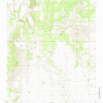 United States Geological Survey Mesas Mojinas, NM (1985, 24000-Scale) digital map