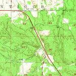 United States Geological Survey Mesick, MI (1956, 62500-Scale) digital map