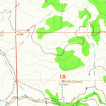 United States Geological Survey Mesita Del Gato, NM (1963, 24000-Scale) digital map