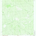 United States Geological Survey Mesteno Creek North, TX (1982, 24000-Scale) digital map