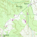 Metasville, GA (1954, 24000-Scale) Preview 2