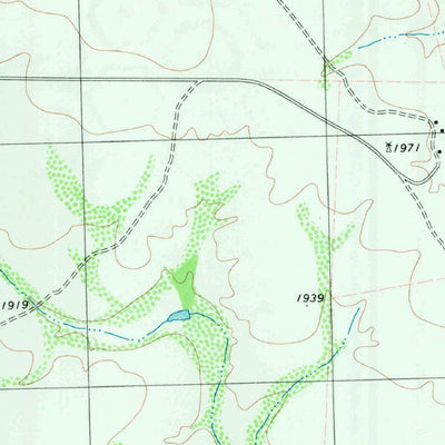 United States Geological Survey Meyers Canyon, TX (1980, 24000-Scale) digital map