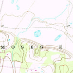 United States Geological Survey Micanopy, FL (1966, 24000-Scale) digital map