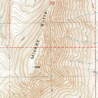 United States Geological Survey Mickey Springs, OR (1981, 24000-Scale) digital map