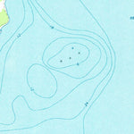 United States Geological Survey Middle Island, MI (1971, 24000-Scale) digital map