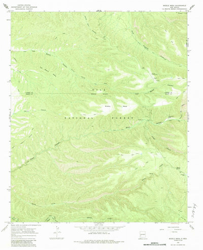 United States Geological Survey Middle Mesa, NM (1965, 24000-Scale) digital map