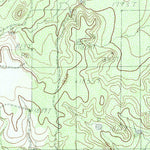 United States Geological Survey Miles NW, TX (1984, 24000-Scale) digital map