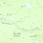 United States Geological Survey Millinocket Lake, ME (1954, 62500-Scale) digital map