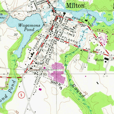 United States Geological Survey Milton, DE (1955, 24000-Scale) digital map