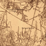 United States Geological Survey Milton, VT (1913, 48000-Scale) digital map