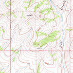 United States Geological Survey Miner Creek, ID (1981, 24000-Scale) digital map
