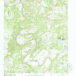 United States Geological Survey Mineral Wells West, TX (1984, 24000-Scale) digital map