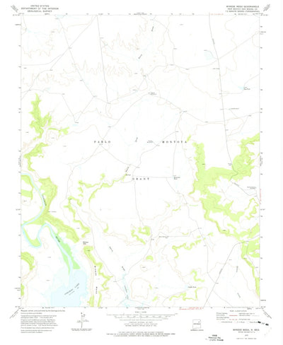 United States Geological Survey Minese Mesa, NM (1972, 24000-Scale) digital map