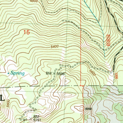 United States Geological Survey Mission Peak, WA (2003, 24000-Scale) digital map